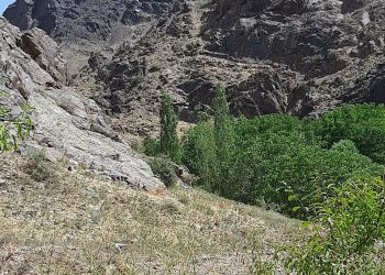 سایت روستای چلمبر در حال به روز آوری می باشد لطفا هر نوع پیشنهادی برای بهتر شدن سایت دارید ارائه بفرمایید