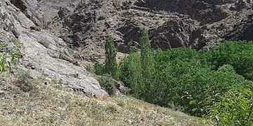 سایت روستای چلمبر در حال به روز آوری می باشد لطفا هر نوع پیشنهادی برای بهتر شدن سایت دارید ارائه بفرمایید