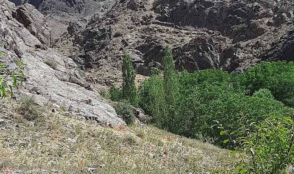 سایت روستای چلمبر در حال به روز آوری می باشد لطفا هر نوع پیشنهادی برای بهتر شدن سایت دارید ارائه بفرمایید