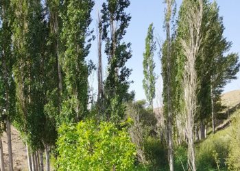 تصاویر طبیعت روستای چلمبر