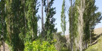 تصاویر طبیعت روستای چلمبر