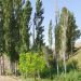 تصاویر طبیعت روستای چلمبر