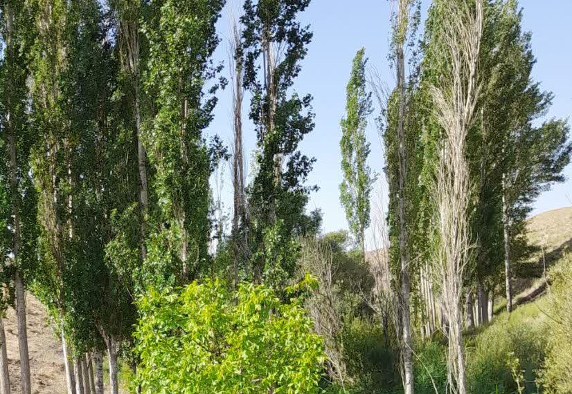 تصاویر طبیعت روستای چلمبر