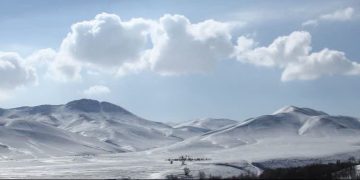 🍀🔶 راز ماندگاری حکیم  تلیم خان.