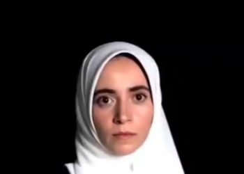 هنرنمایی این خانم توی فضای مجازی درباره نسل‌کشی در غزه